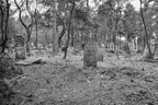 20120406201009-de86a679 (3618 visits) 20120406201009-de86a679