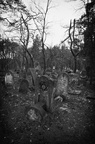 20120406201022-bad5f382 (3636 visits) 20120406201022-bad5f382